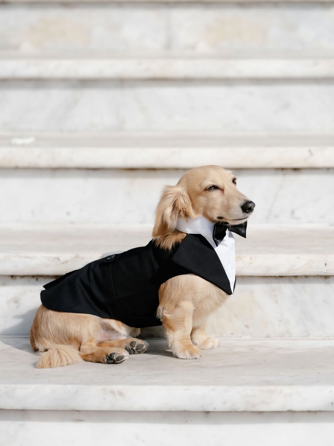 Звезда &laquo;Формулы-1&raquo;  Шарль Леклер женился: рассматриваем фото