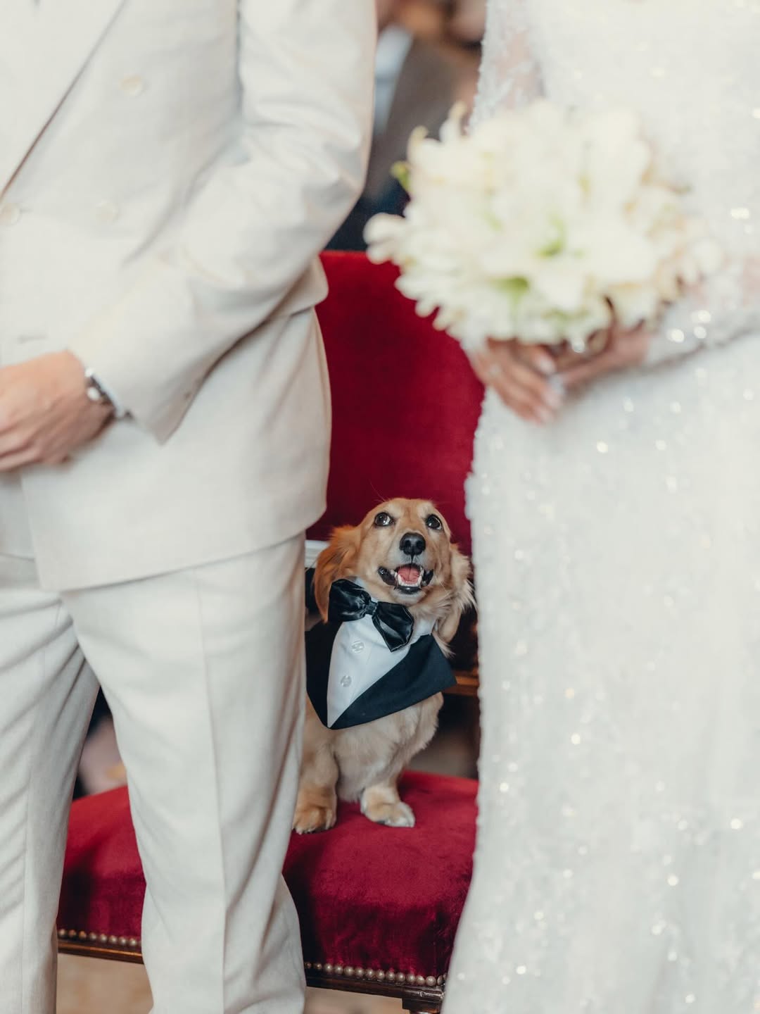 Звезда &laquo;Формулы-1&raquo;  Шарль Леклер женился: рассматриваем фото