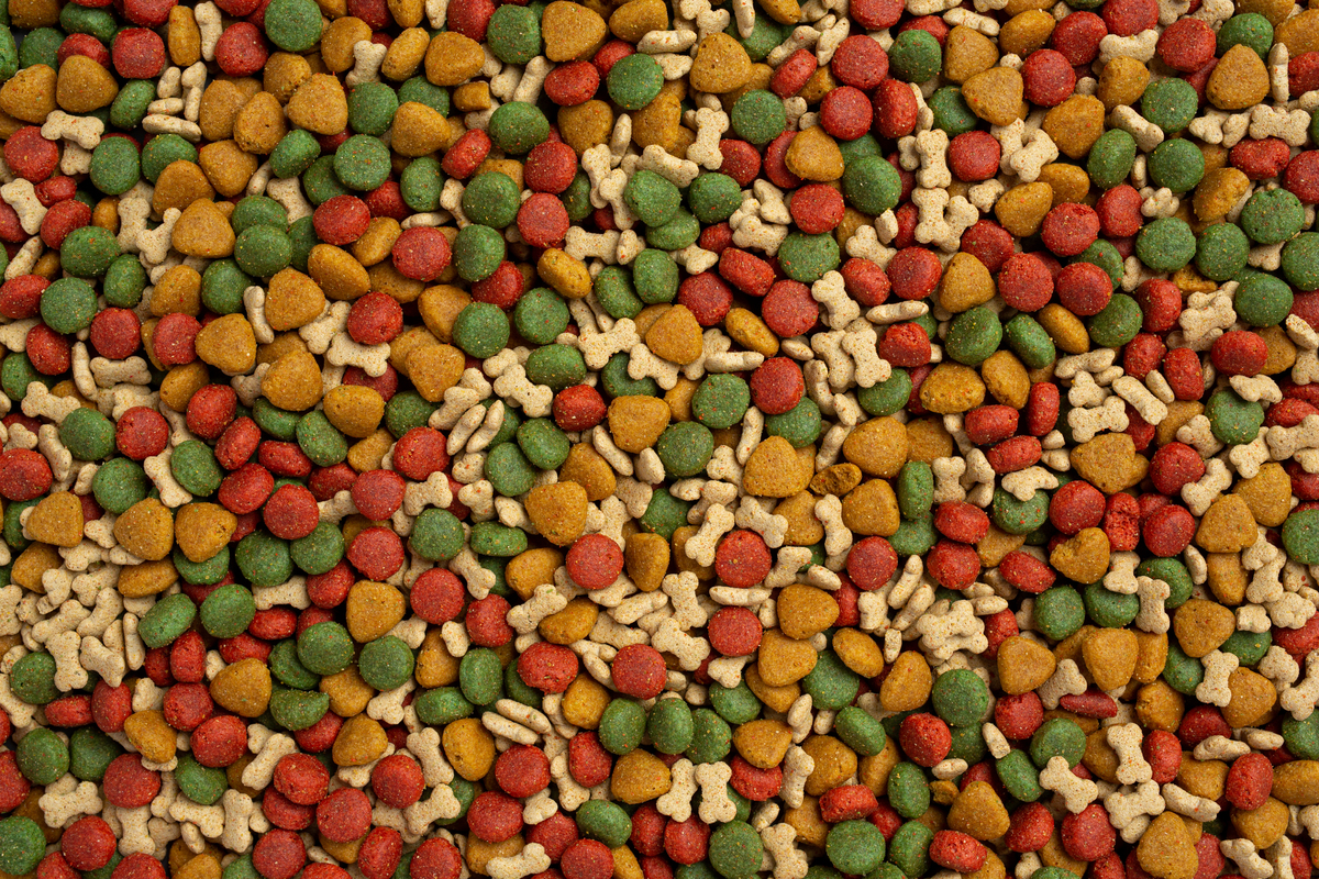 5 найкращих кормів для котів і собак: вибір відповідальних власників