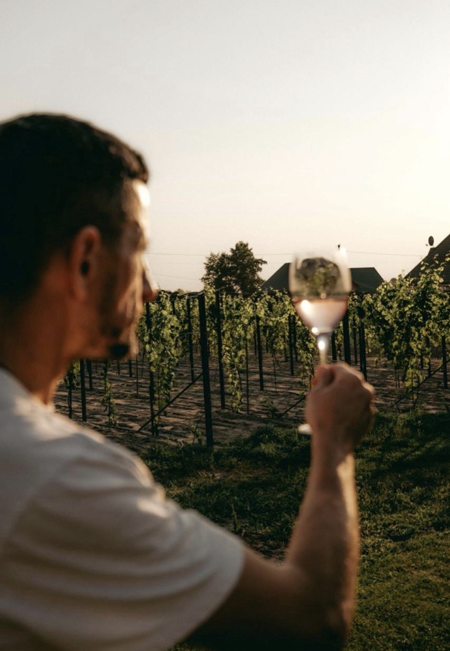 Визнана світом: українська виноробня перемогла у міжнародному конкурсі вин у Франції