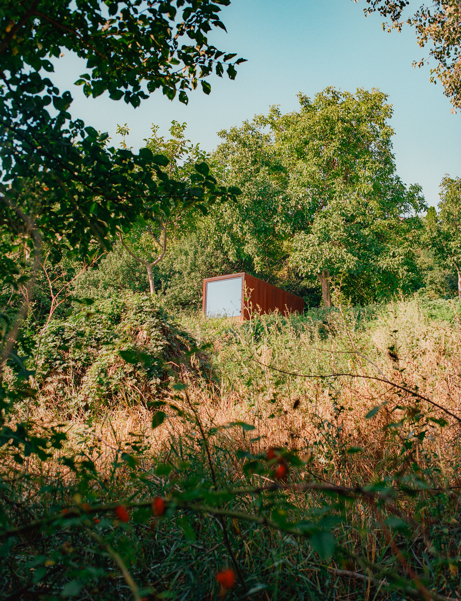 Втеча від міської метушні: 5 локацій для вікенду під Києвом