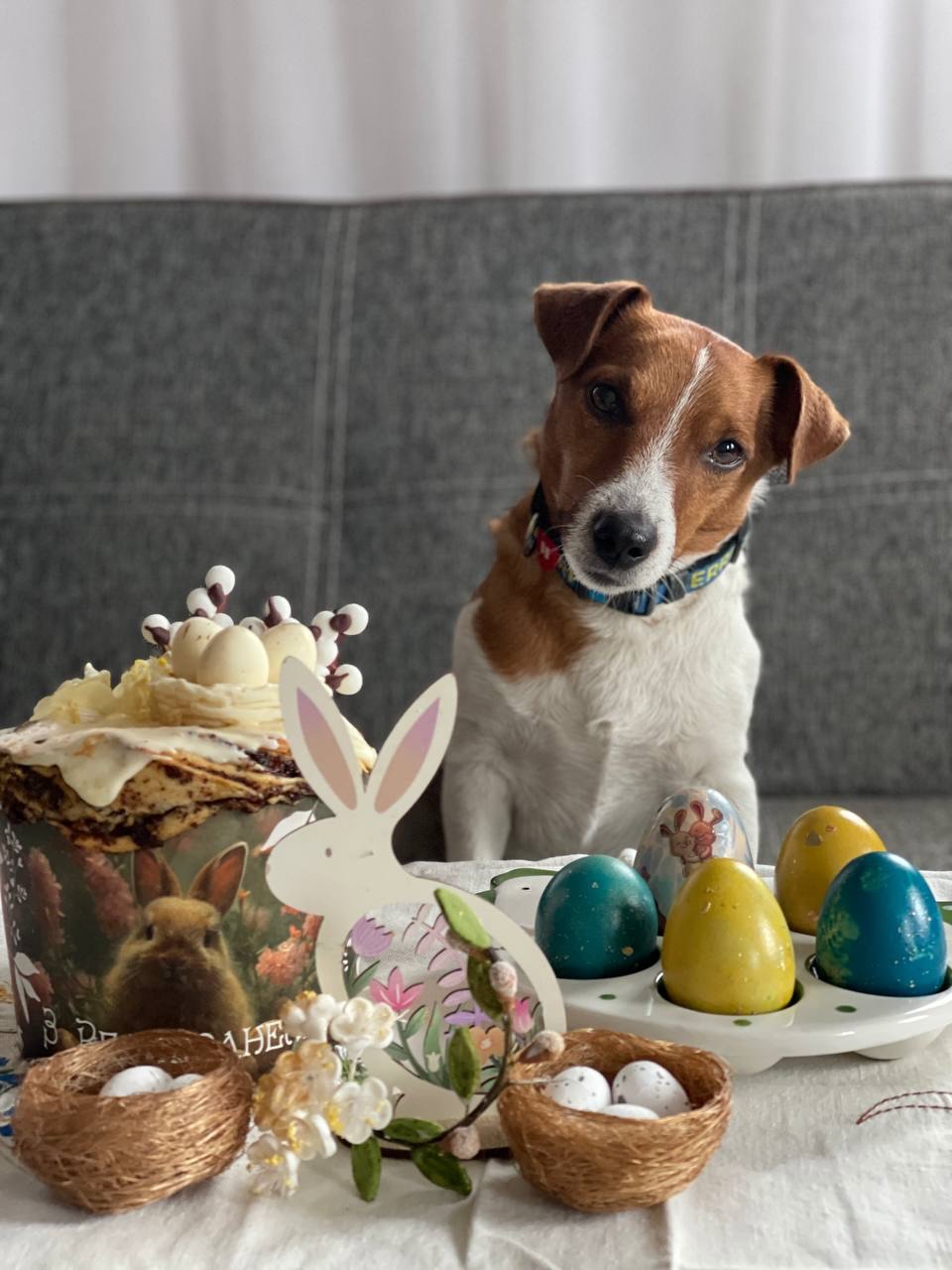 Великодні кошики Каті Осадчої, Даші Квіткової та інших відомих українців