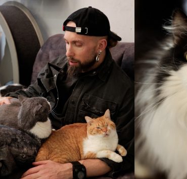 Олексій Суровцев спільно з Lamarch запускає благодійний проєкт для порятунку котів