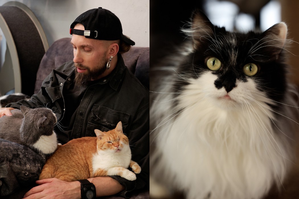 Олексій Суровцев спільно з Lamarch запускає благодійний проєкт для порятунку котів