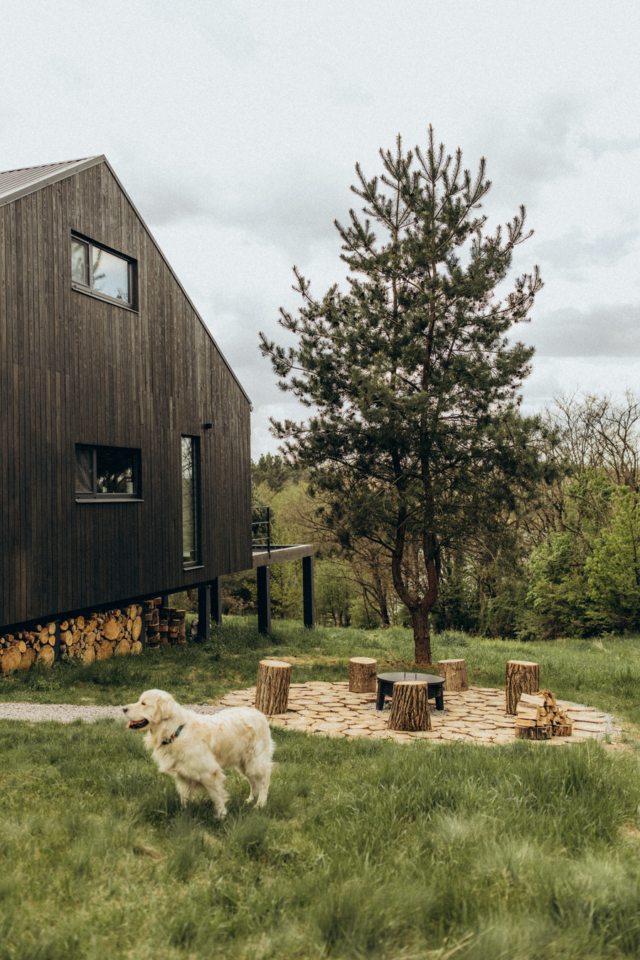 Втеча від міської метушні: 5 локацій для вікенду під Києвом