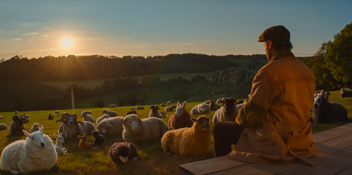 Г&rsquo;ю Джекман пасе овець і читає їм вголос у сімейній пригоді &laquo;Вівці-детективи&raquo;