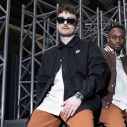 Подозреваемую в покушении на Рианну лишили родительских прав