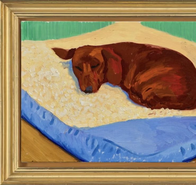 Портрет любимой таксы Дэвида Хокни впервые выставят на аукцион Christie’s