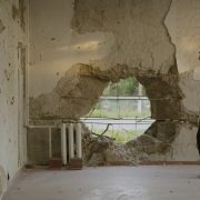 Український фільм &laquo;Чорні соняшники&raquo; посів друге місце на кінофестивалі в Торонто
