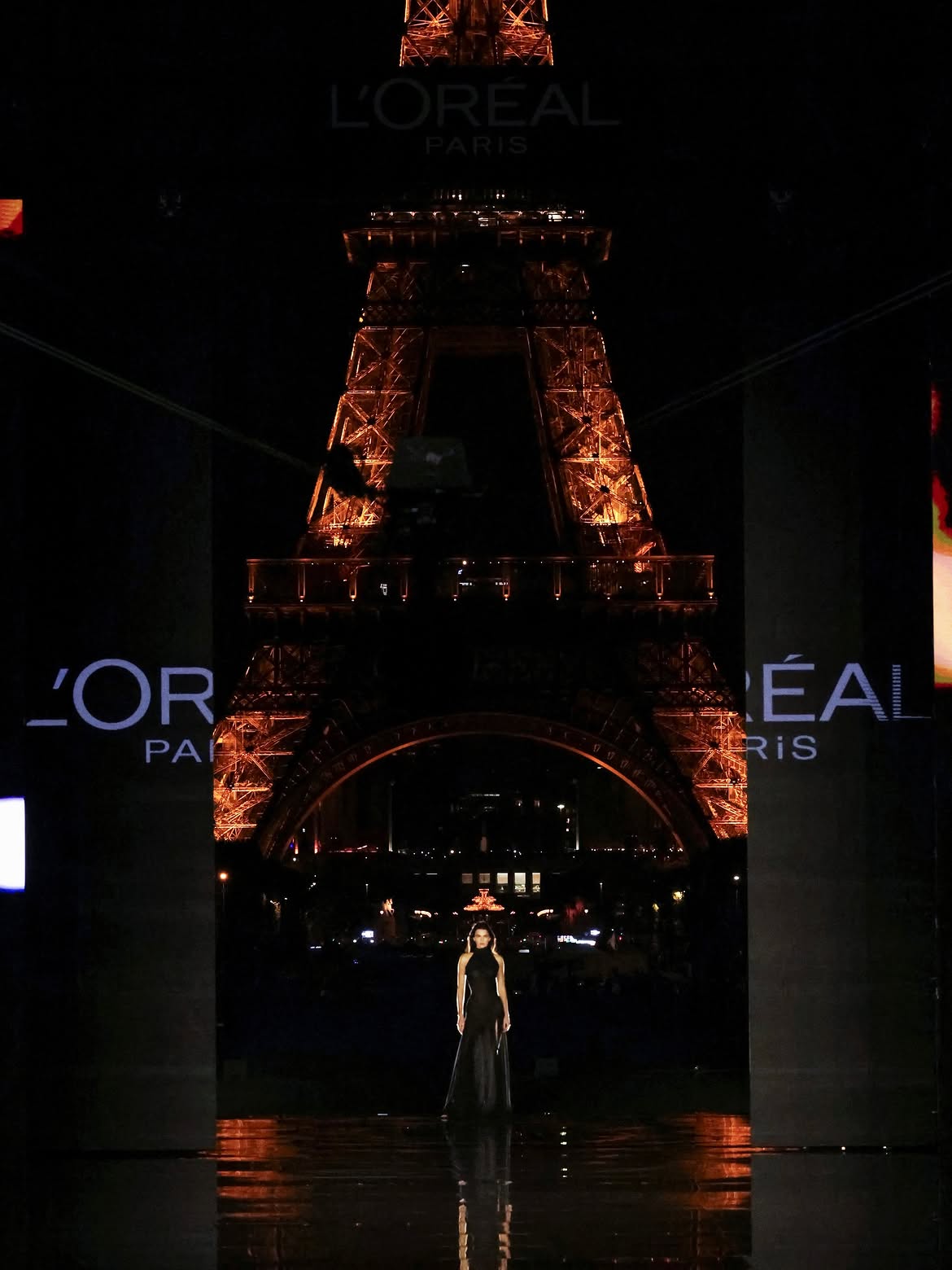 Катерина Сильченко, Селин Дион и другие звезды на показе L’Oréal Paris